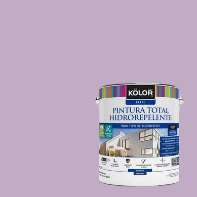 Pintura Hidrorepelente Satinado 1 galn(es) Prpura Rovigo 