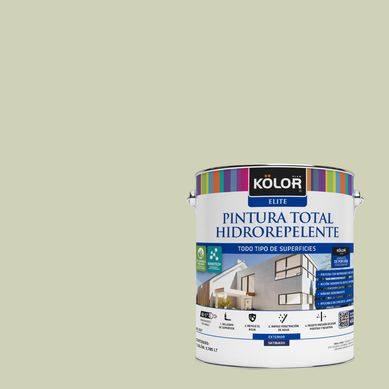 Pintura Hidrorepelente Satinado 1 galn(es) Verde Ashila 