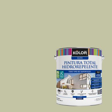 Pintura Hidrorepelente Satinado 1 galn(es) Verde Huevla 