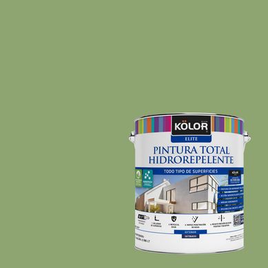 Pintura Hidrorepelente Satinado 1 galn(es) Verde Powys 