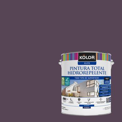 Pintura Hidrorepelente Satinado 1 galn(es) Prpura Constanta 