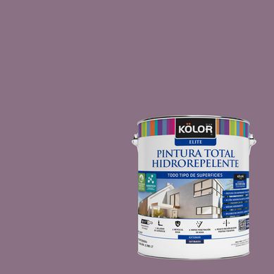Pintura Hidrorepelente Satinado 1 galn(es) Prpura St.Paul 