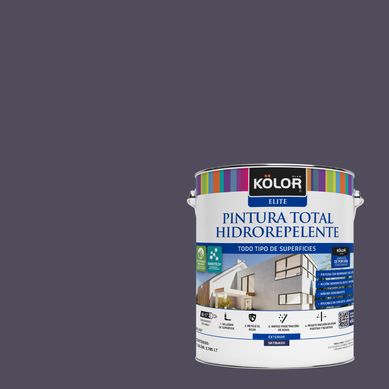 Pintura Hidrorepelente Satinado 1 galn(es) Prpura Valladolid 