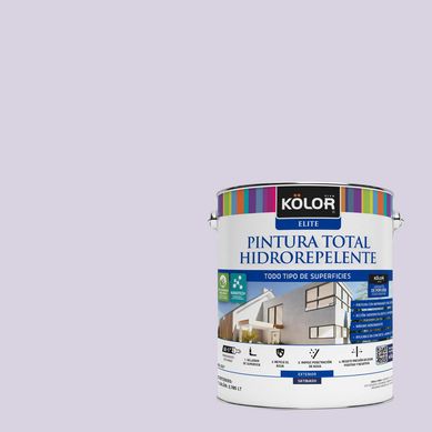 Pintura Hidrorepelente Satinado 1 galn(es) Prpura Africa 