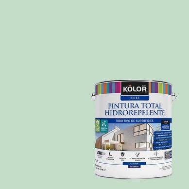 Pintura Hidrorepelente Satinado 1 galn(es) Verde Dyfed 