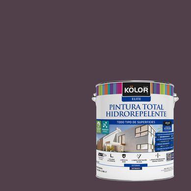 Pintura Hidrorepelente Satinado 1 galn(es) Prpura Sassari 