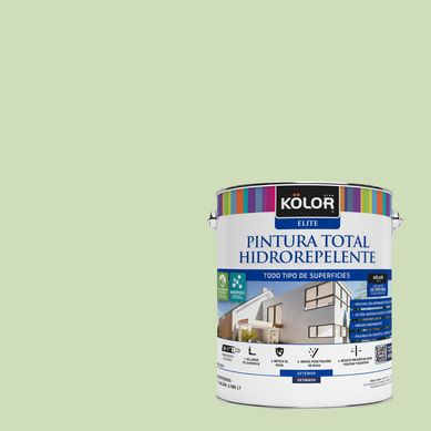 Pintura Hidrorepelente Satinado 1 galn(es) Verde Trinidad Y Tobago 