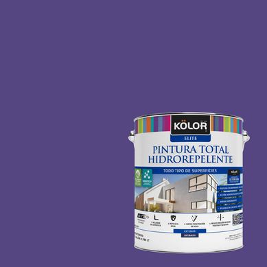 Pintura Hidrorepelente Satinado 1 galn(es) Prpura Vila Real 