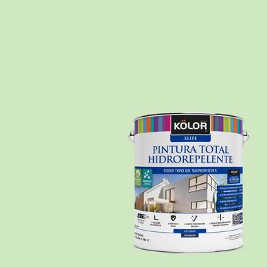 Pintura Hidrorepelente Satinado 1 galn(es) Beige Badajoz 
