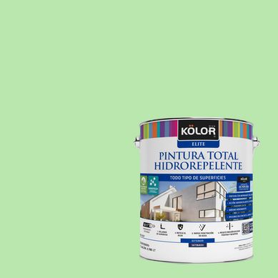Pintura Hidrorepelente Satinado 1 galn(es) Verde Winnipeg 