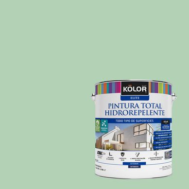 Pintura Hidrorepelente Satinado 1 galn(es) Verde Cdiz 