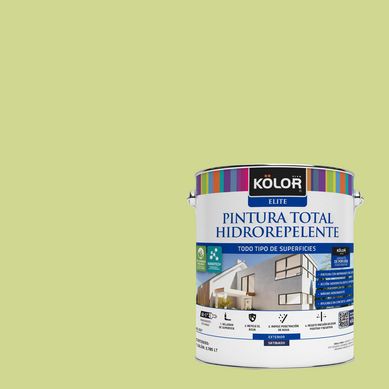 Pintura Hidrorepelente Satinado 1 galn(es) Verde Bardolino 