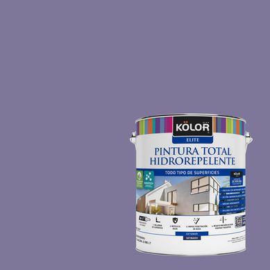 Pintura Hidrorepelente Satinado 1 galn(es) Prpura Argelia 