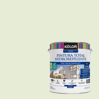 Pintura Hidrorepelente Satinado 1 galn(es) Fucsia Oviedo 