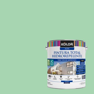 Pintura Hidrorepelente Satinado 1 galn(es) Verde Catanzaro 