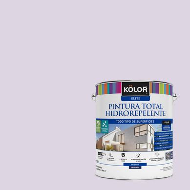 Pintura Hidrorepelente Satinado 1 galn(es) Prpura Modena 