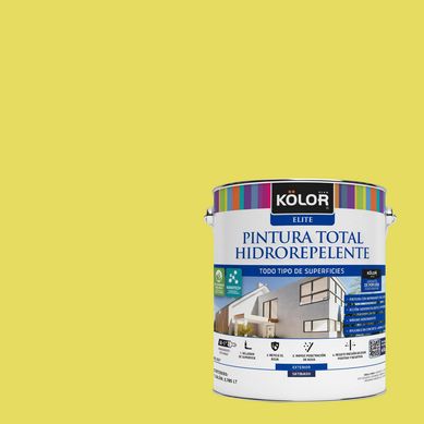 Pintura Hidrorepelente Satinado 1 galn(es) Fucsia Manisa 