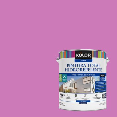 Pintura Hidrorepelente Satinado 1 galn(es) Naranjo Vibo Valentia 