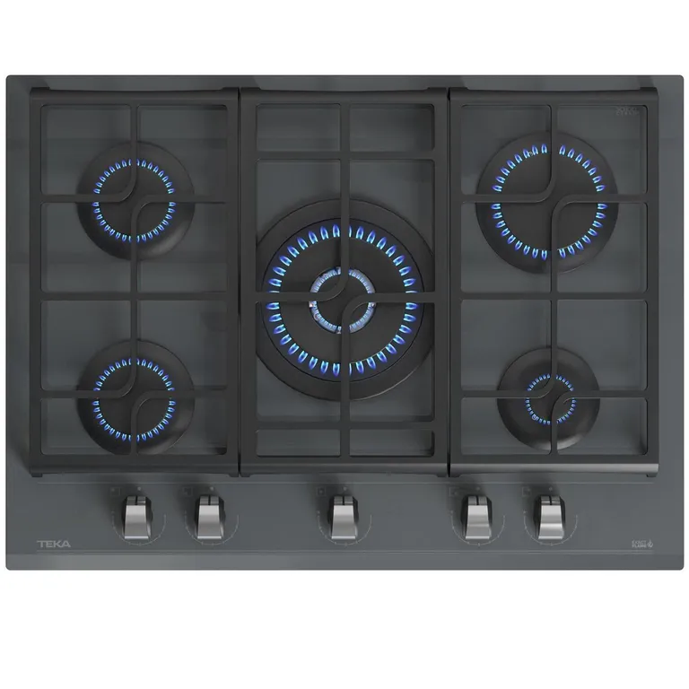 Encimera Gas Licuado 5 Platos GZC 75330 XBB