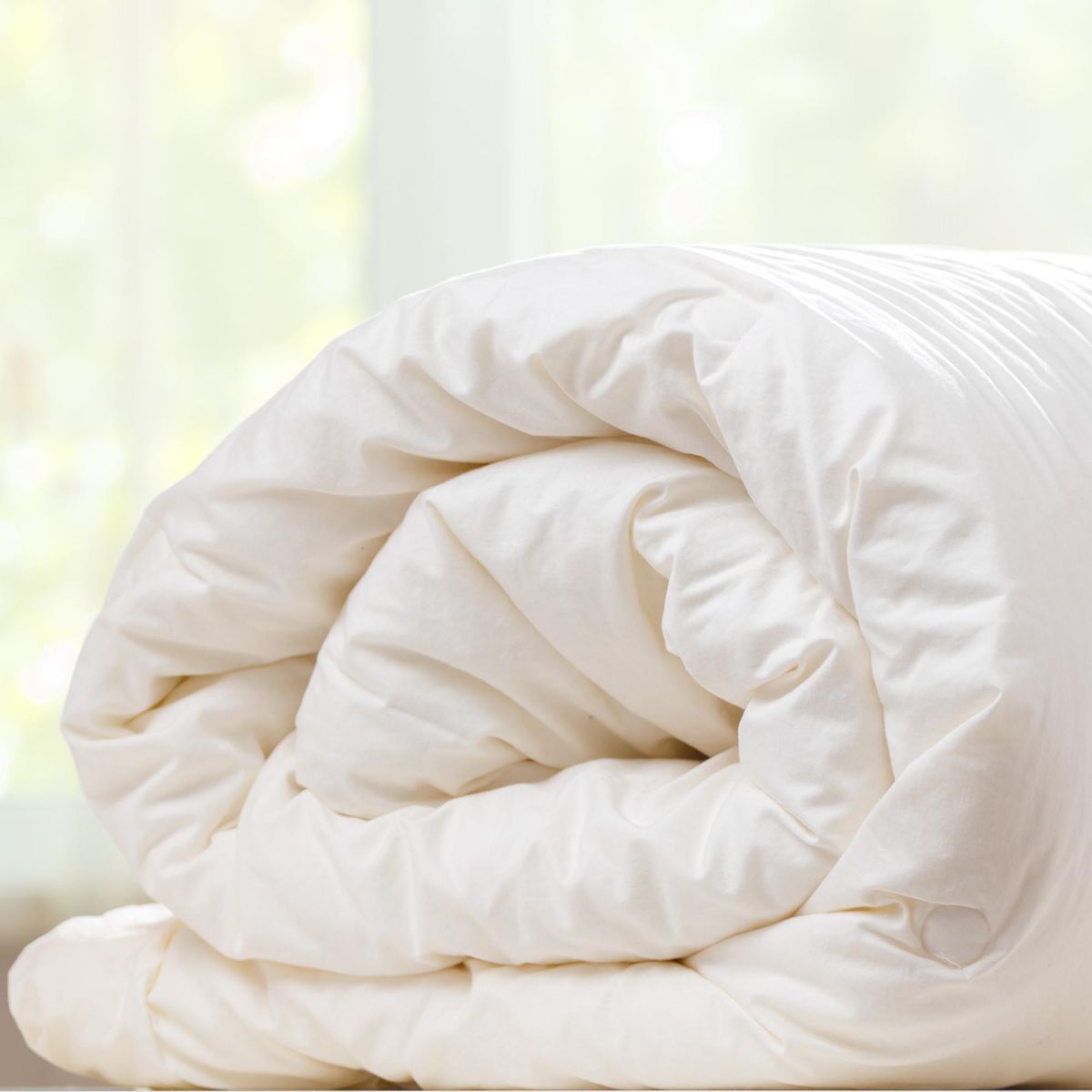 ZEE DREAMS - Plumón pluma de ganso king 260x250 cm