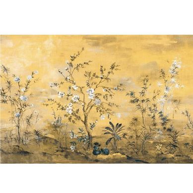 Fotomural Mandarin 41029