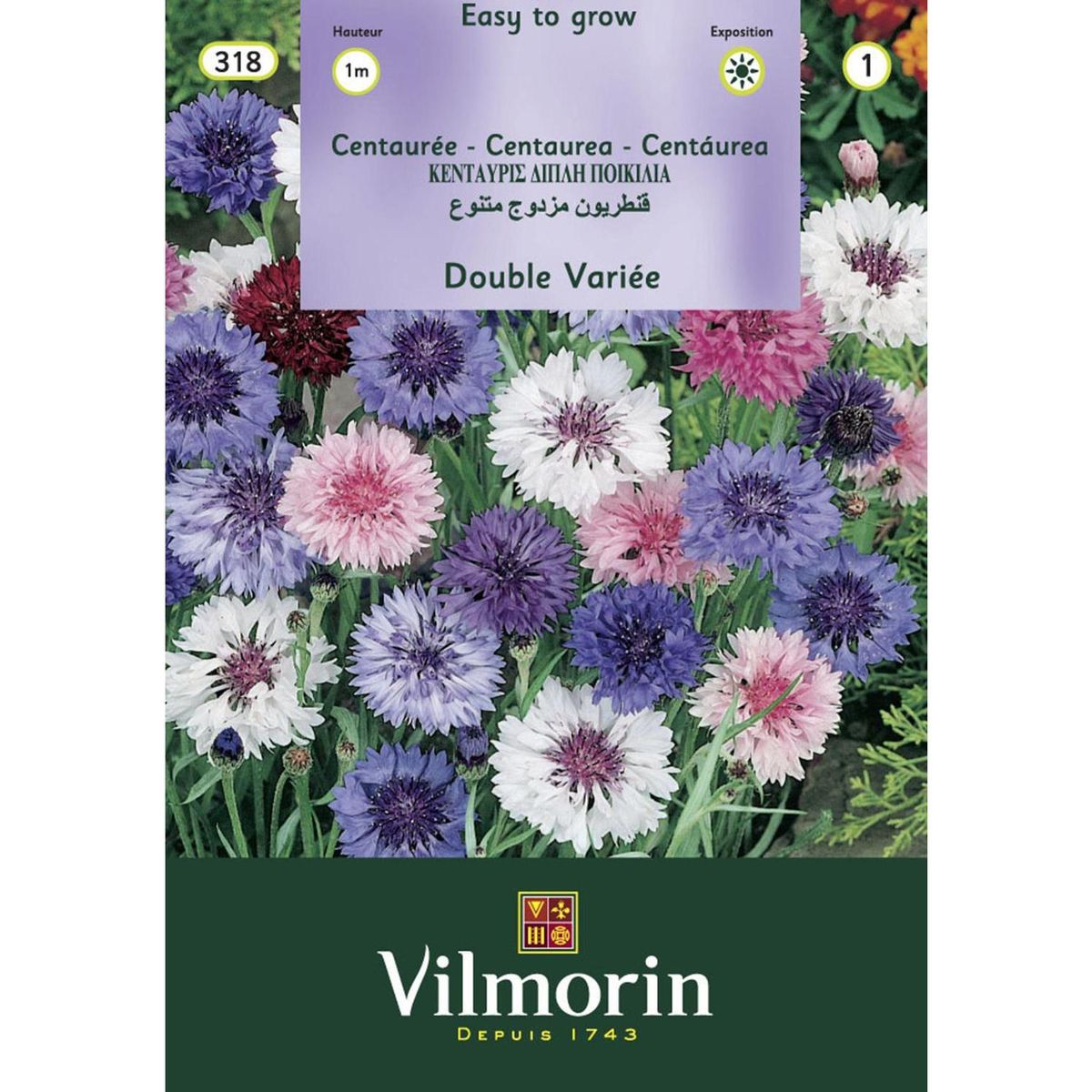 VILMORIN - Semilla Flor Centaurea 2 gr Sachet