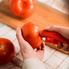 CUINA - Desgarrador tomate