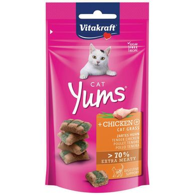 Snack gato yums pollo hierba gatera 40 gr