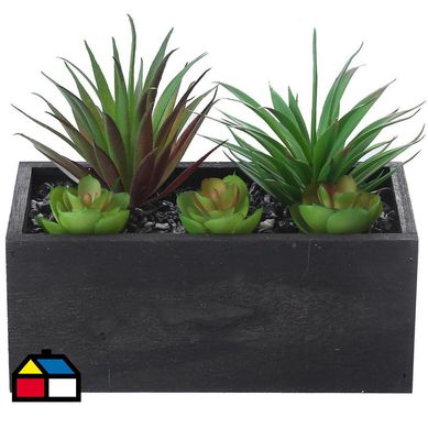Arreglo suculentas jardin 22 cm