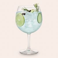 Set 2 Copas Gin 650 ml
