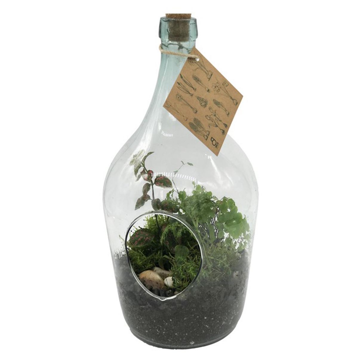 BLUME IN A POT - Terrario Botella S 20 cm Natural CT30