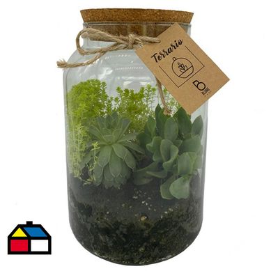 Terrario Frasco L