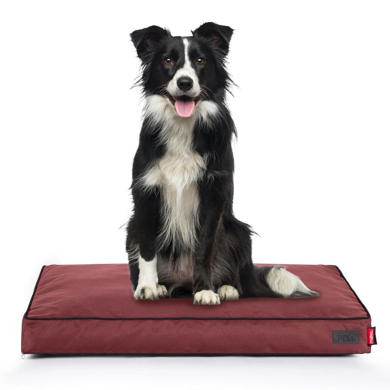 ROSEN - Cama Talla L para  12x80x100 cm Burdeo
