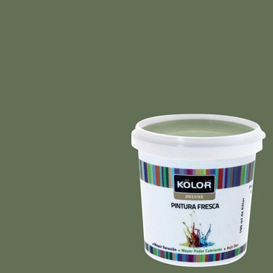 Muestra Kolor Tirupati 100ML GR-111