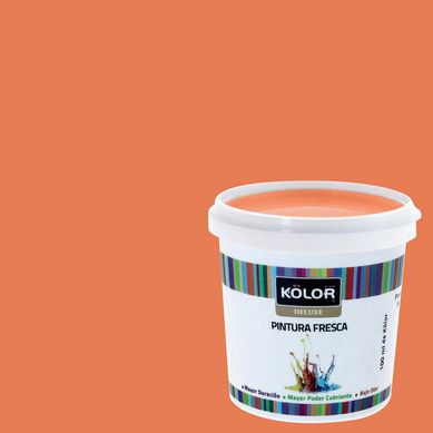 Muestra Color Mate 100 ml Naranjo Seul 