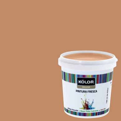 Muestra Color Mate 100 ml Naranjo Gnansk 