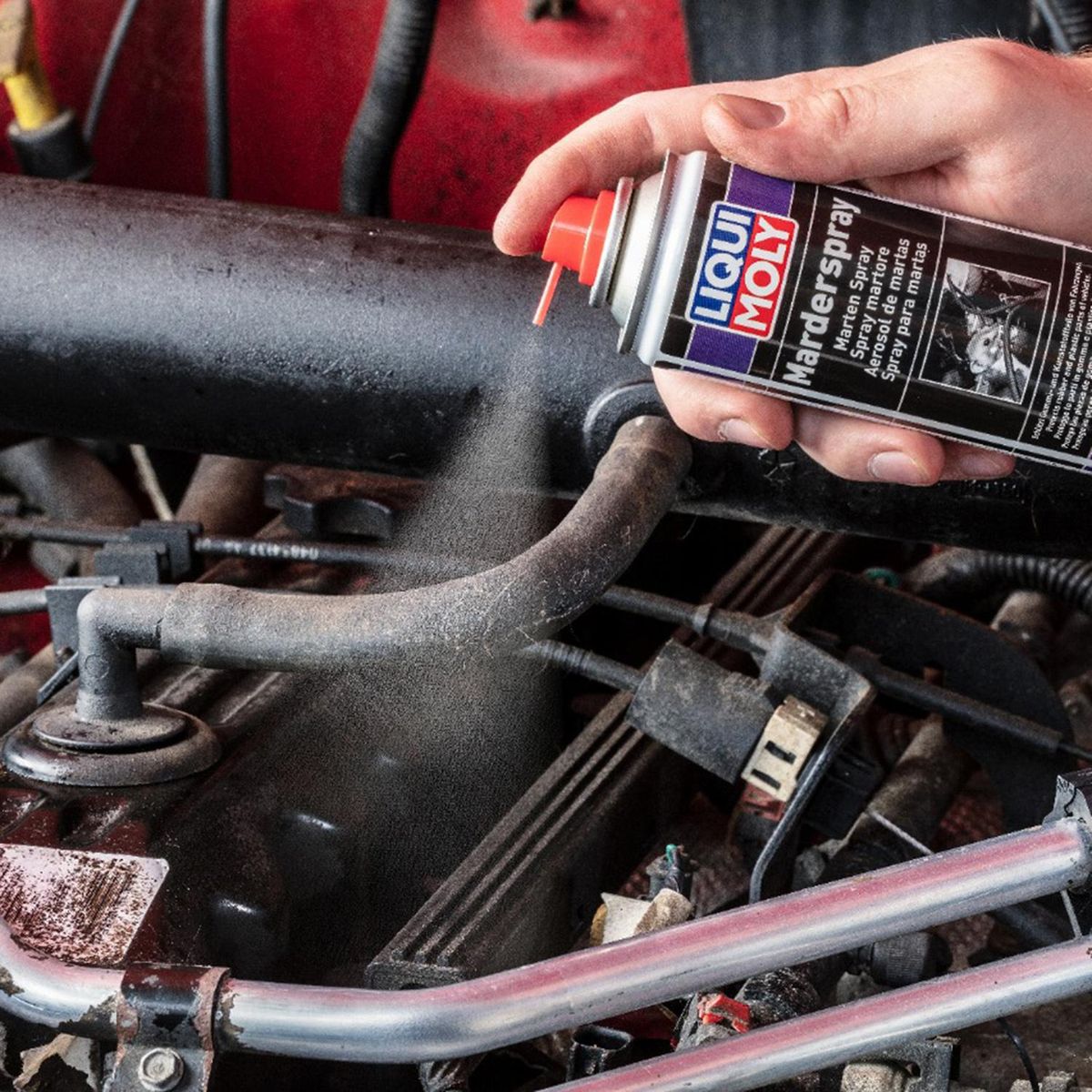 LIQUI MOLY - Repelente Roedores para Auto 0.2 l 