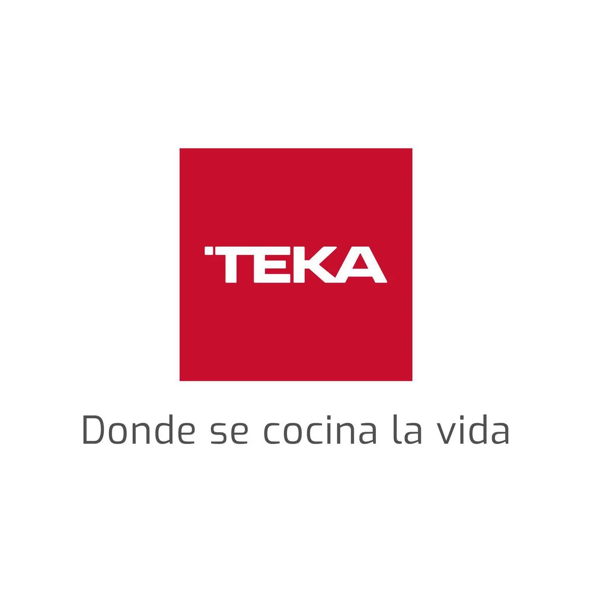 TEKA - Horno a gas 60 cm Grill eléctrico