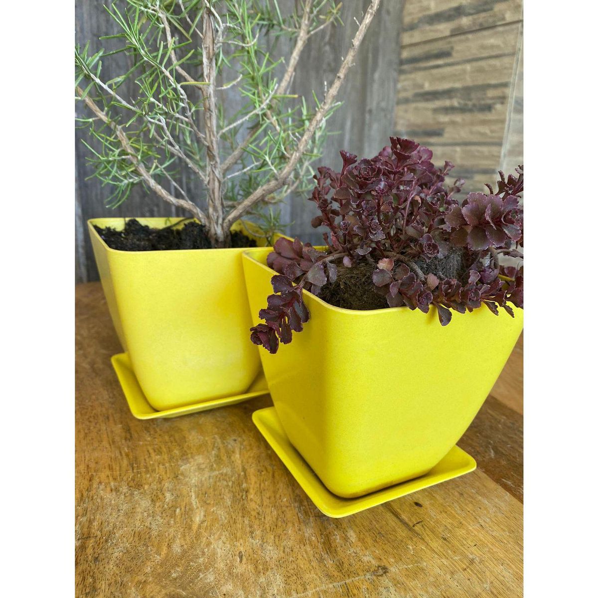 DECOGREEN - Set 2 Maceteros y Platos Biodegradable Cuadrados de Bambú 12.4x13.3 cm Amarillo