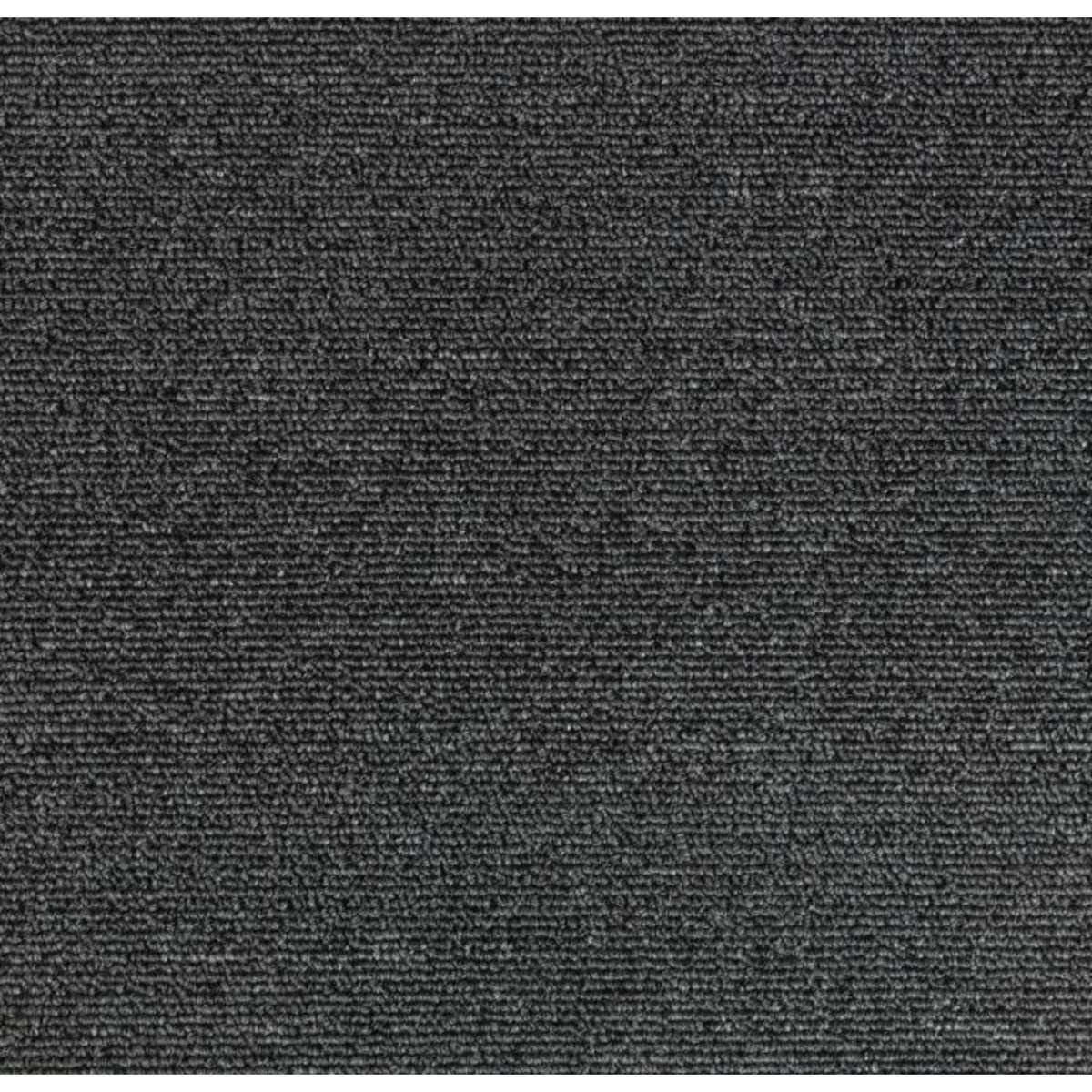 WINTER - Alfombra bouclé liso-Ibiza-rollo 3x4 mt-Grafito