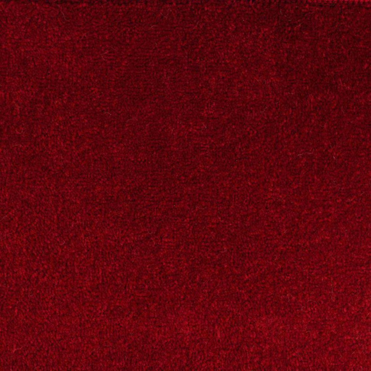 WINTER - Alfombra pelo cortado-Select-rollo 3x4 mt-Rojo