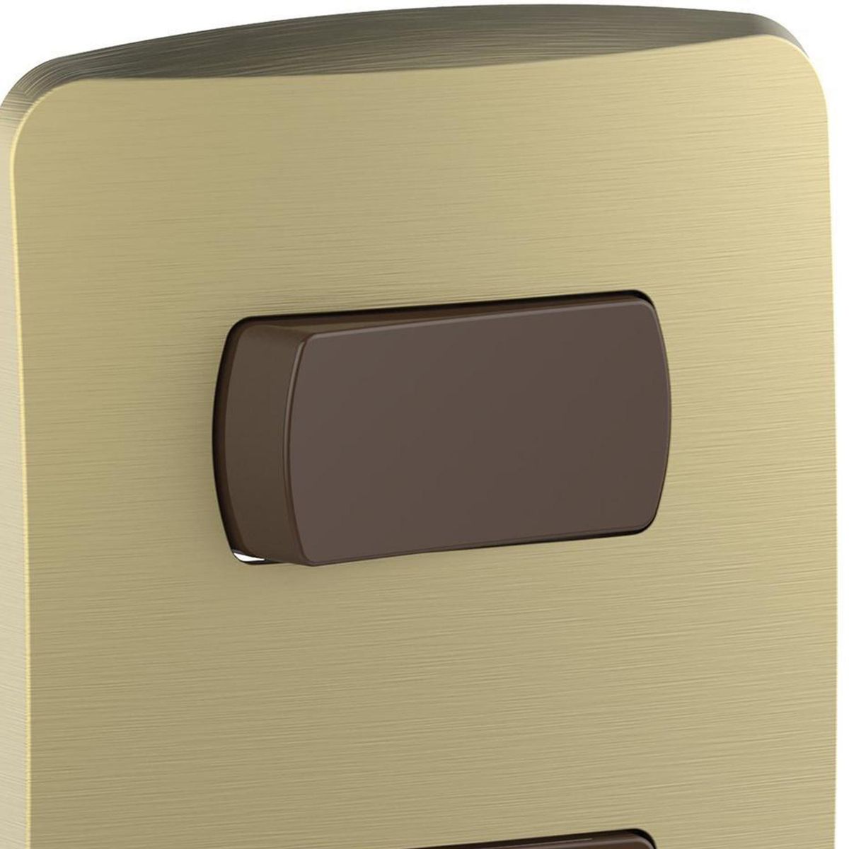 SCHNEIDER ELECTRIC - Placa Miluz armada int 9/12+toma10A dorado