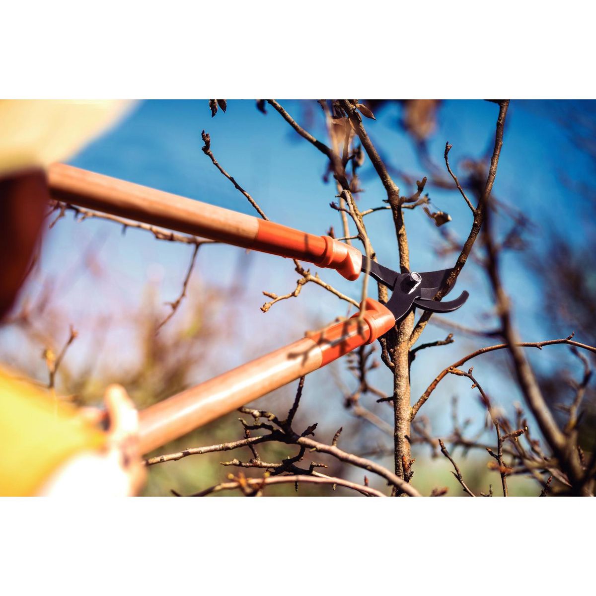 TRAMONTINA - Tijera para podar mango madera 60 cm