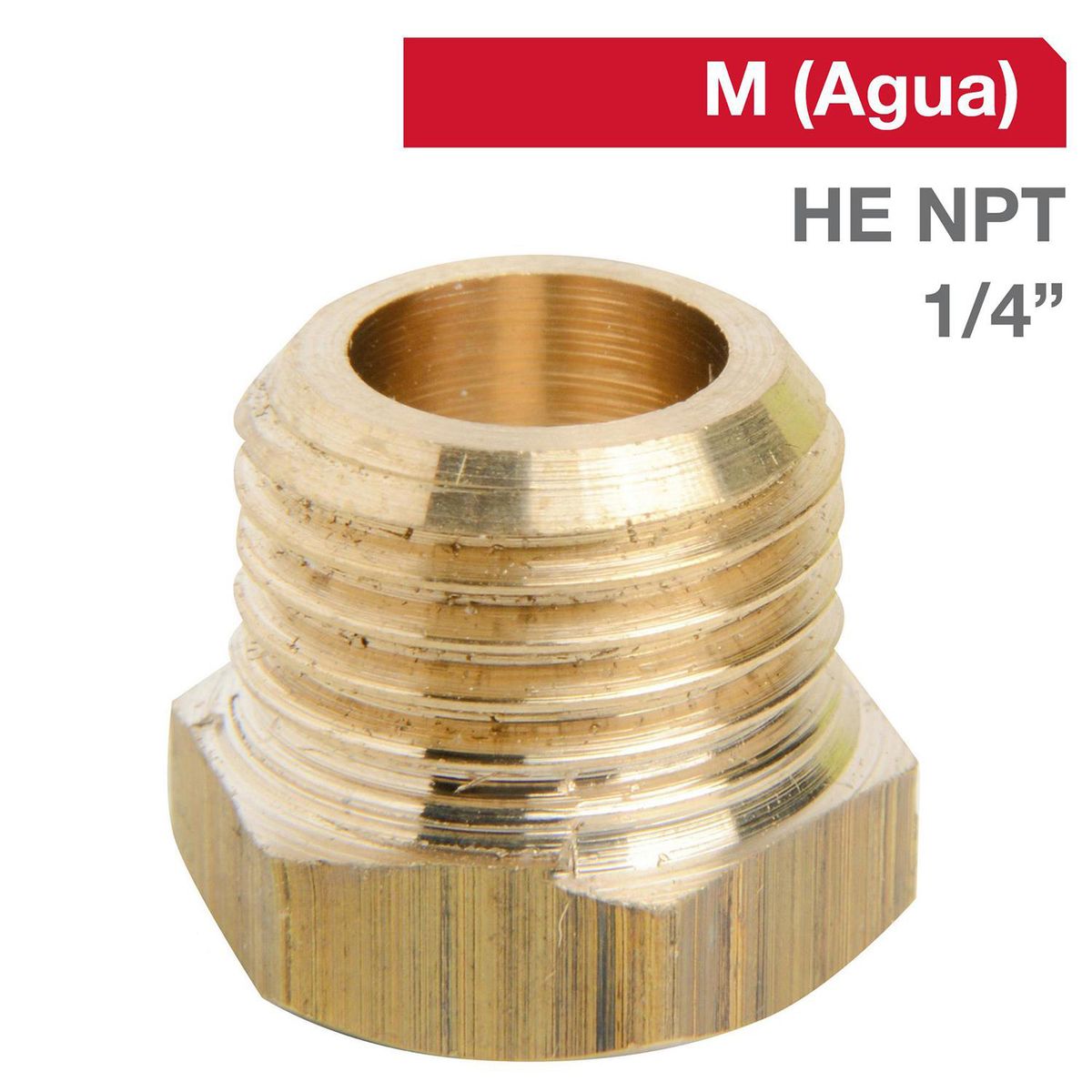 GRIFESA - Tapa Tornillo Bronce HE NPT 1/4" 1u