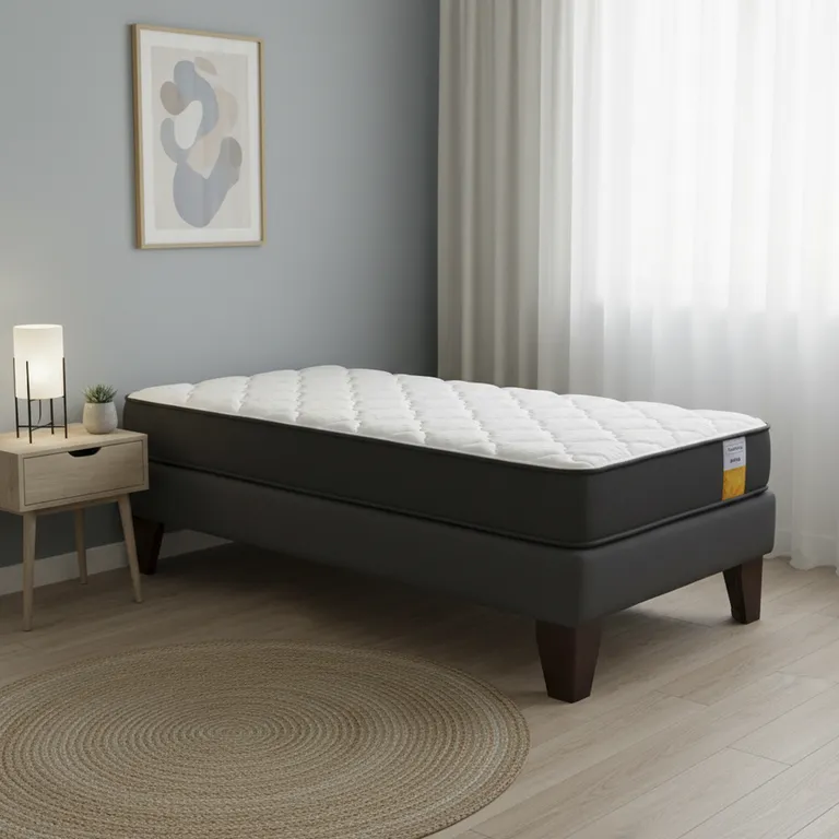 DRIMKIP Cama 1 plaza Europea Funcional Gris