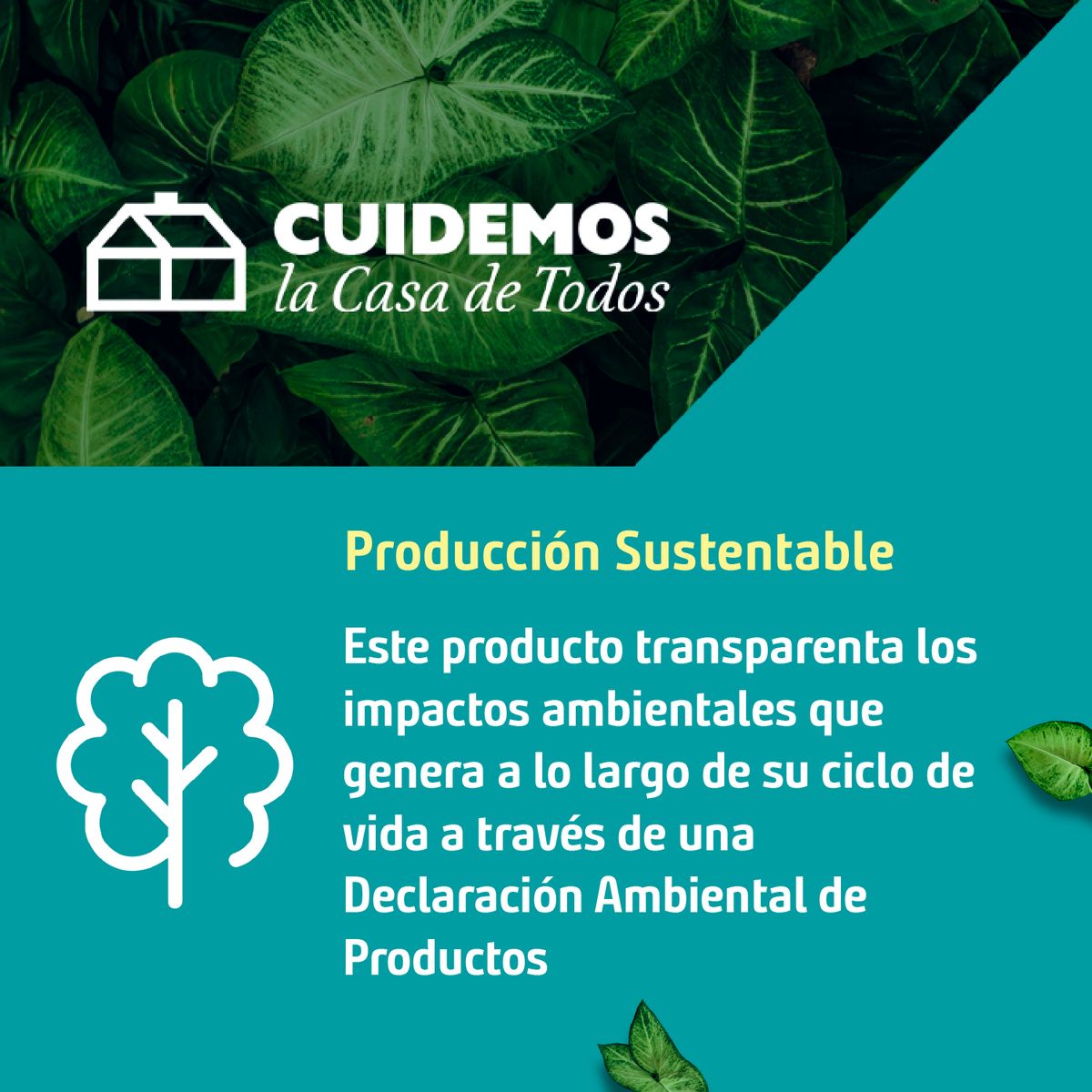 SCHNEIDER ELECTRIC - Placa Miluz ciega con soporte grafito