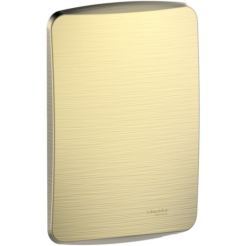 SCHNEIDER ELECTRIC - Placa Miluz ciega con soporte metal dorado