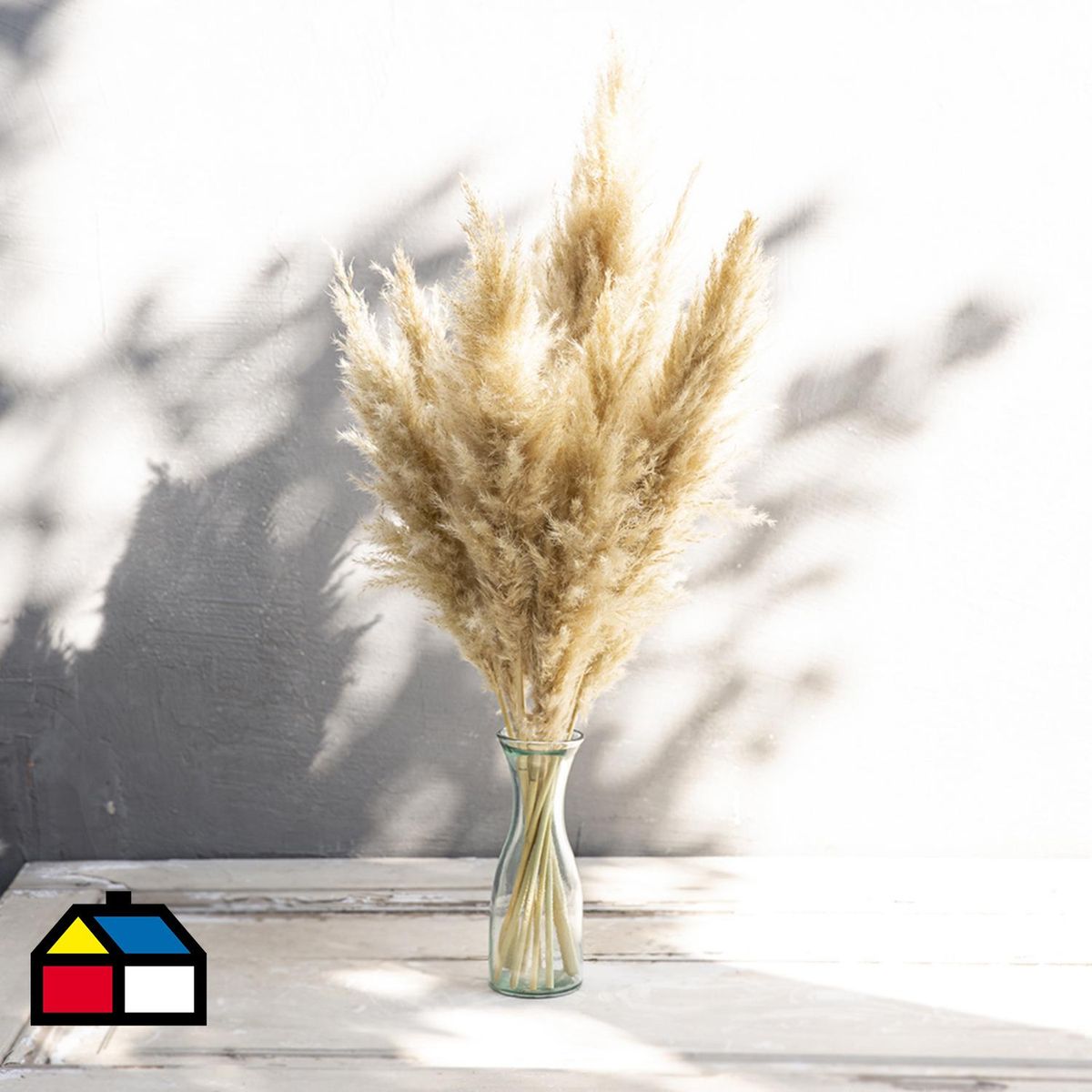 KELIM CASA GITANA - Cola de zorro natural para decoracion 5 unidades