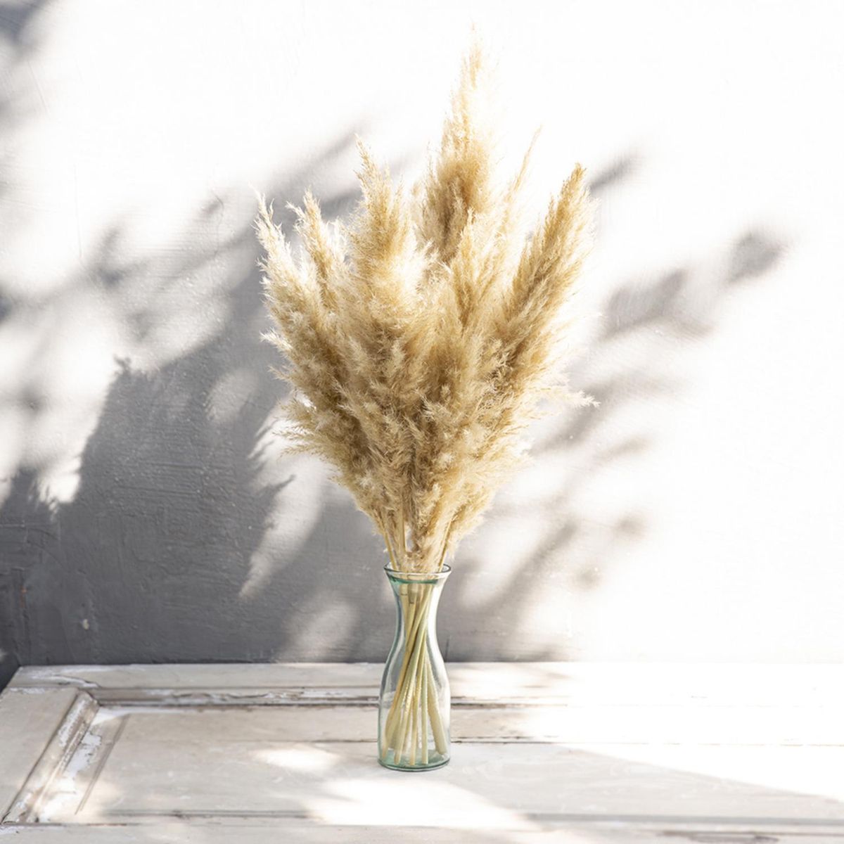 KELIM CASA GITANA - Cola de zorro natural para decoracion 5 unidades