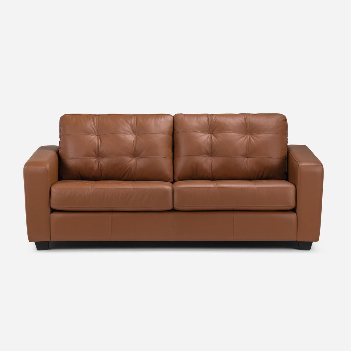 ROSEN - Sofá Manet 2 Cuerpos Cuero Pigmentado